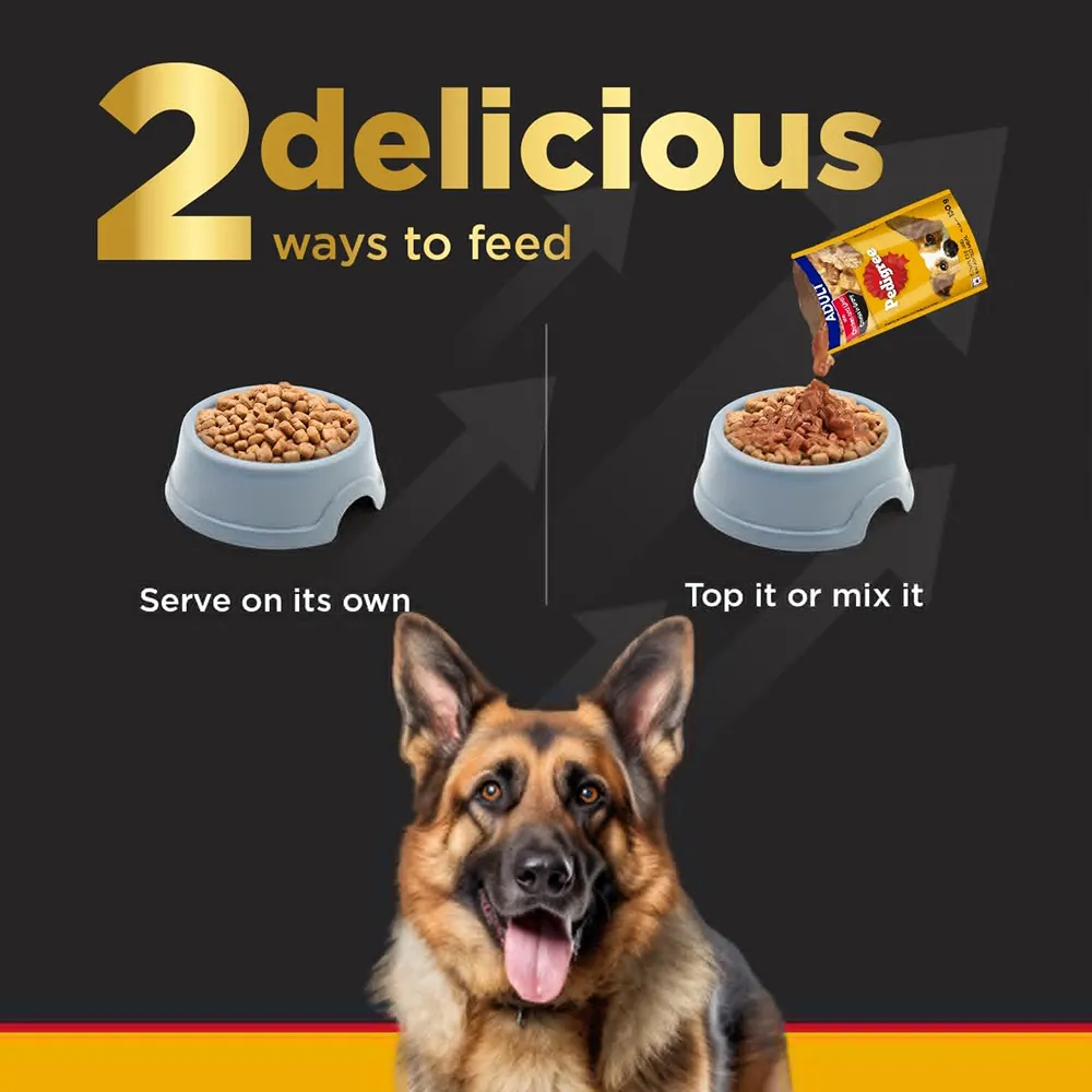 Pedigree PRO Active Adult Large Breed Dry Food, Pedigree Chicken Liver Gravy Dogs Wet Food Combo