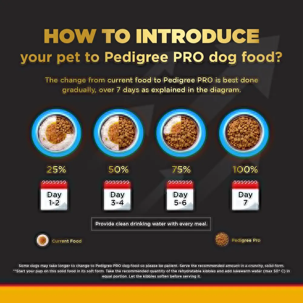 Pedigree PRO Active Adult Large Breed Dry Food, Pedigree Chicken Liver Gravy Dogs Wet Food Combo