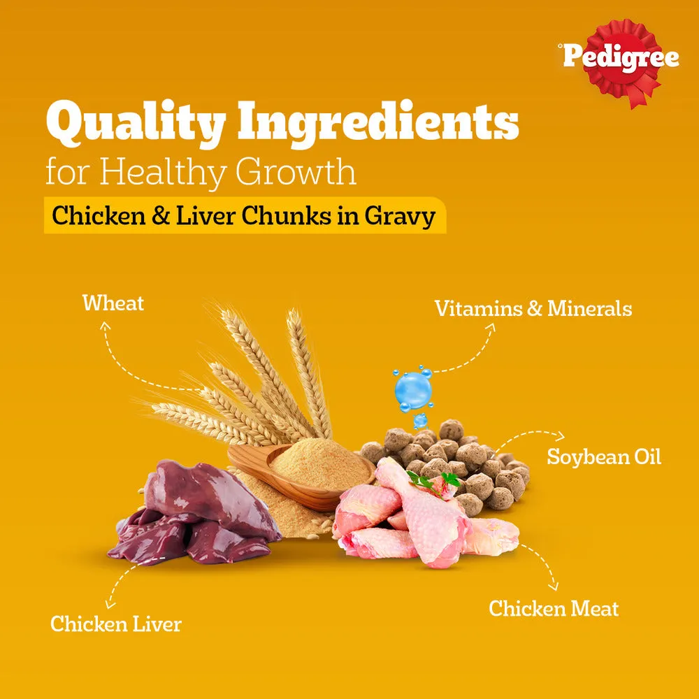 Pedigree PRO Active Adult Large Breed Dry Food, Pedigree Chicken Liver Gravy Dogs Wet Food Combo