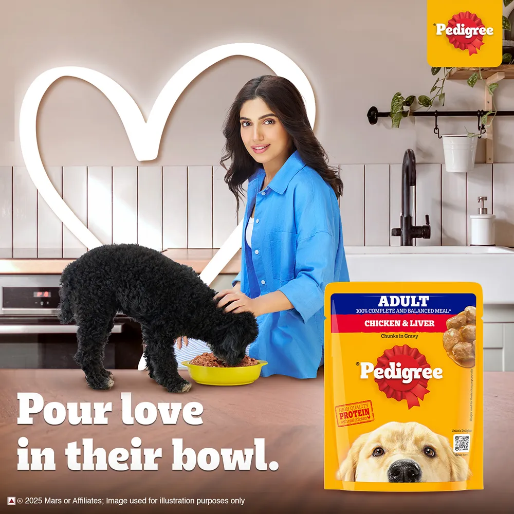 Pedigree PRO Active Adult Large Breed Dry Food, Pedigree Chicken Liver Gravy Dogs Wet Food Combo