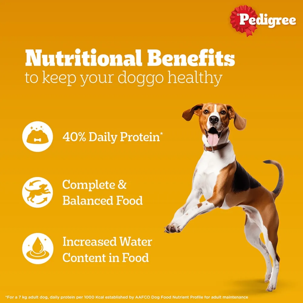 Pedigree PRO Expert Nutrition Active Adult Large Breed Dry Food and Pedigree Chicken & Liver Chunks in Gravy Adult Dog Wet Food Combo