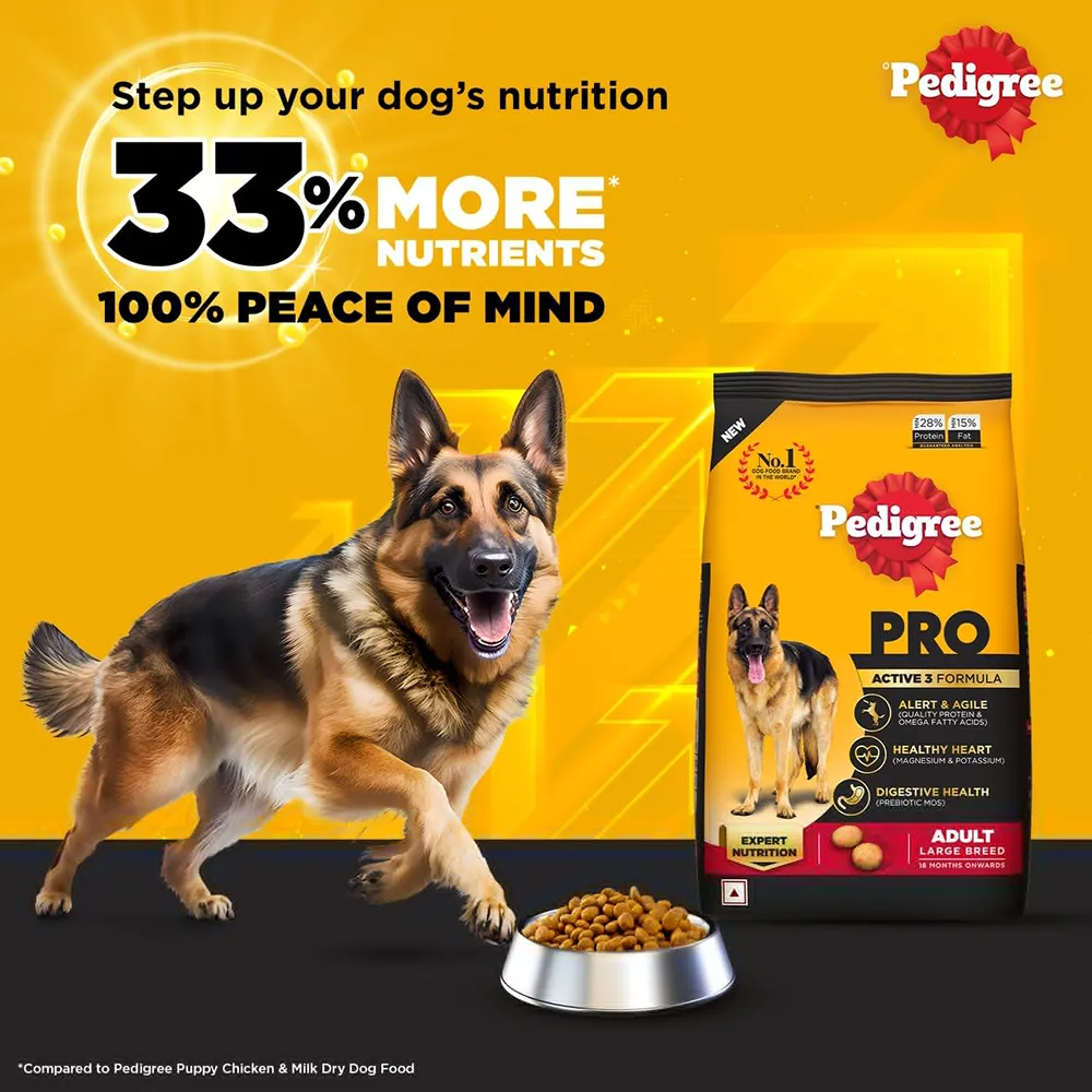 Pedigree PRO Expert Nutrition Active Adult Large Breed Dry Food and Pedigree Chicken & Liver Chunks in Gravy Adult Dog Wet Food Combo