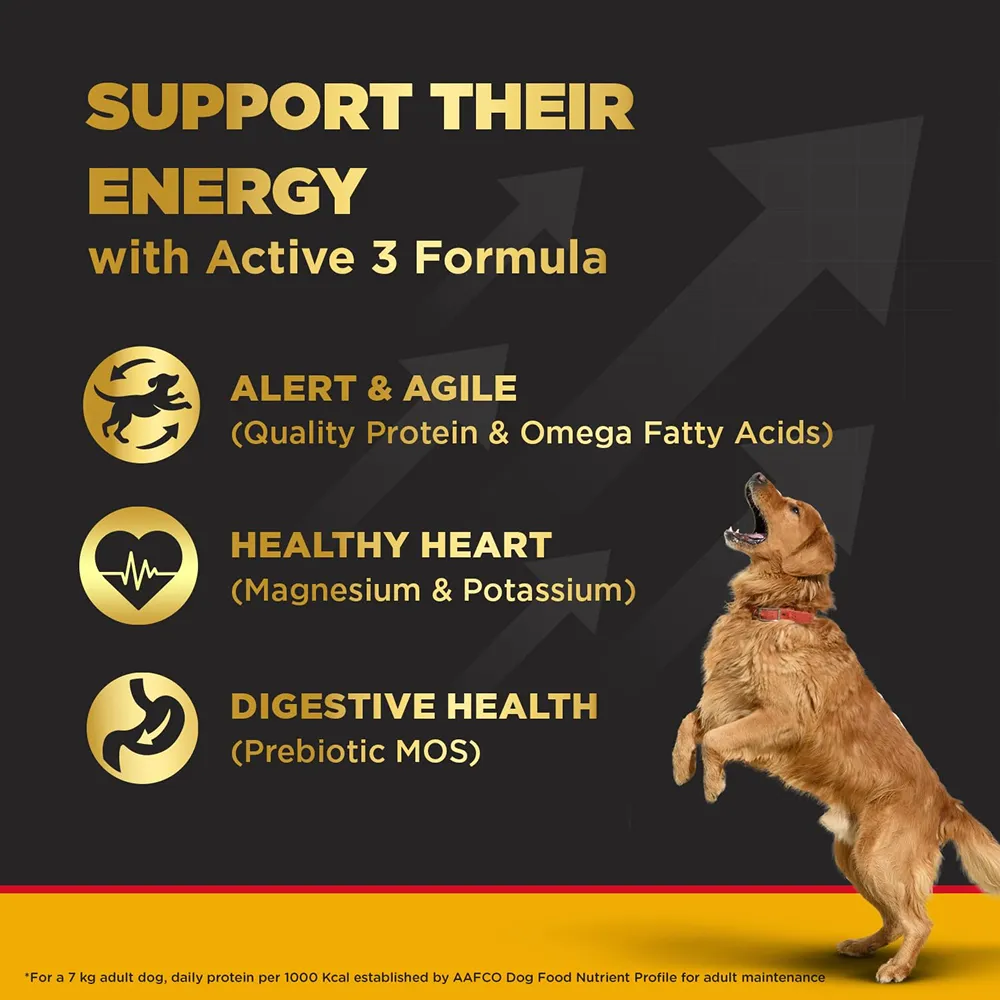 Pedigree PRO Expert Nutrition Active Adult Large Breed Dry Food and Pedigree Chicken & Liver Chunks in Gravy Adult Dog Wet Food Combo
