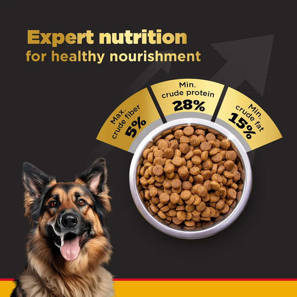 Pedigree PRO Expert Nutrition Active Adult Large Breed Dry Food and Pedigree Chicken & Liver Chunks in Gravy Adult Dog Wet Food Combo