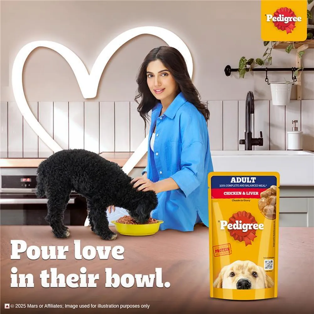 Pedigree PRO Expert Nutrition Active Adult Large Breed Dry Food and Pedigree Chicken & Liver Chunks in Gravy Adult Dog Wet Food Combo