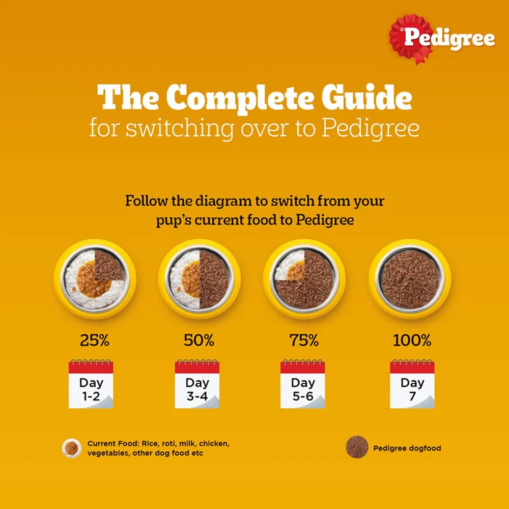 Pedigree PRO Expert Nutrition Active Adult Large Breed Dry Food and Pedigree Chicken & Liver Chunks in Gravy Adult Dog Wet Food Combo