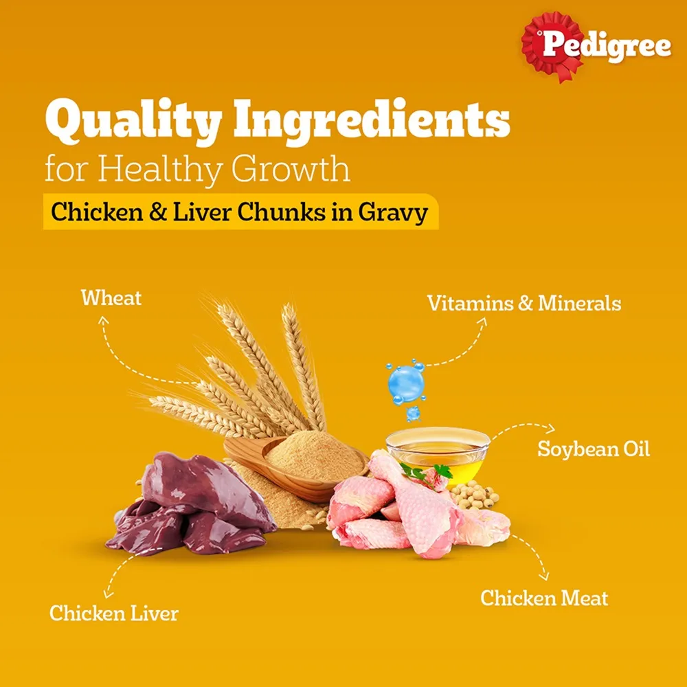 Pedigree PRO Expert Nutrition Active Adult Large Breed Dry Food and Pedigree Chicken & Liver Chunks in Gravy Adult Dog Wet Food Combo