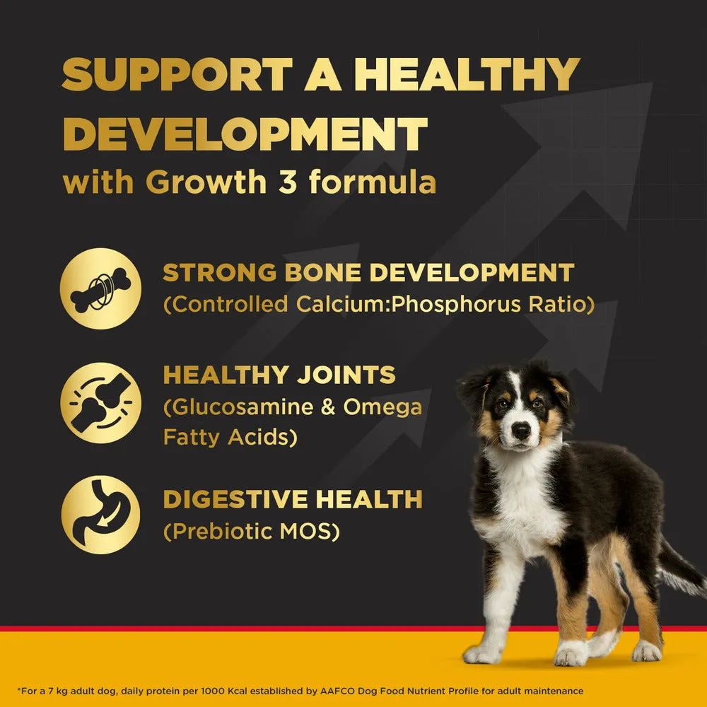Pedigree PRO Large Breed Puppy Dry Food, Pedigree Chicken Liver Gravy Adult Dog Wet Food Combo