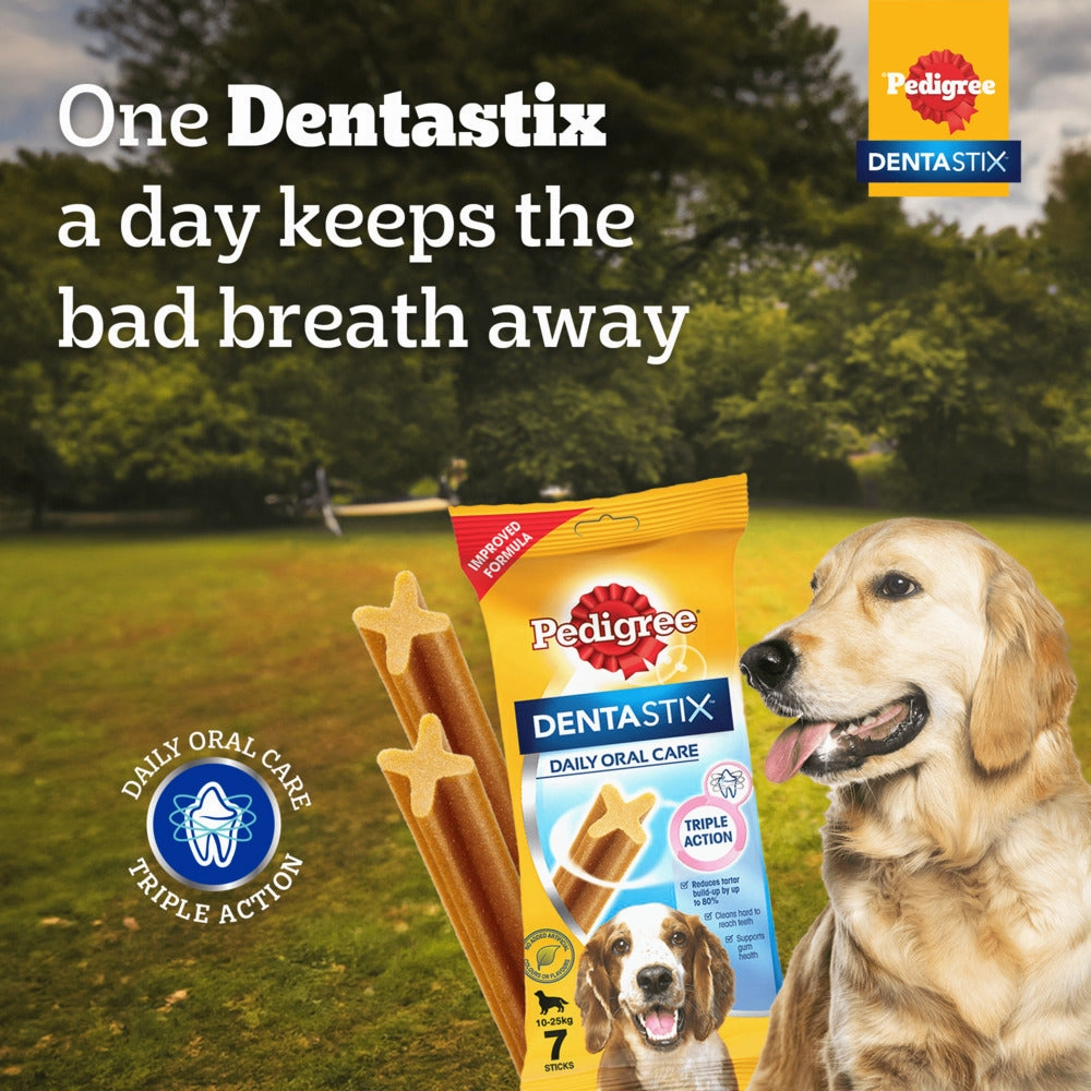 Pedigree Dentastix Oral Care for Adult (Large Breed of 25 kg ) Dog Treats