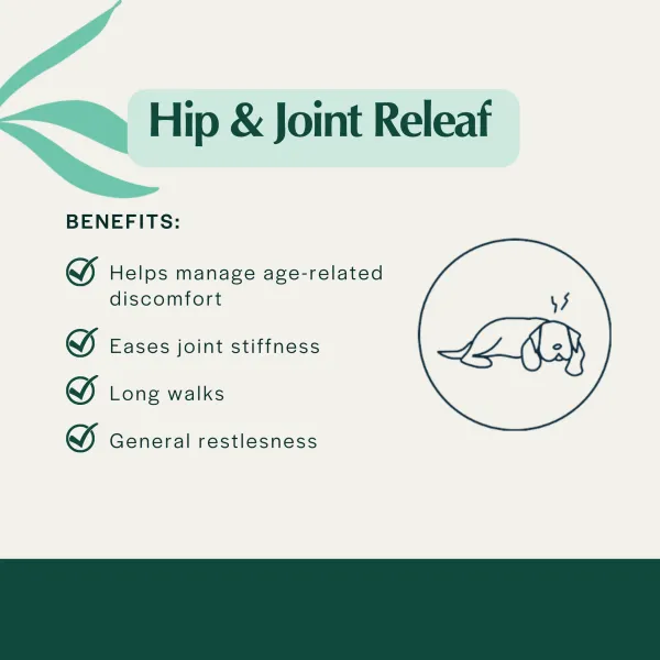 Pet Releaf Hip & Joint Releaf 600mg Hemp Oil for Dogs