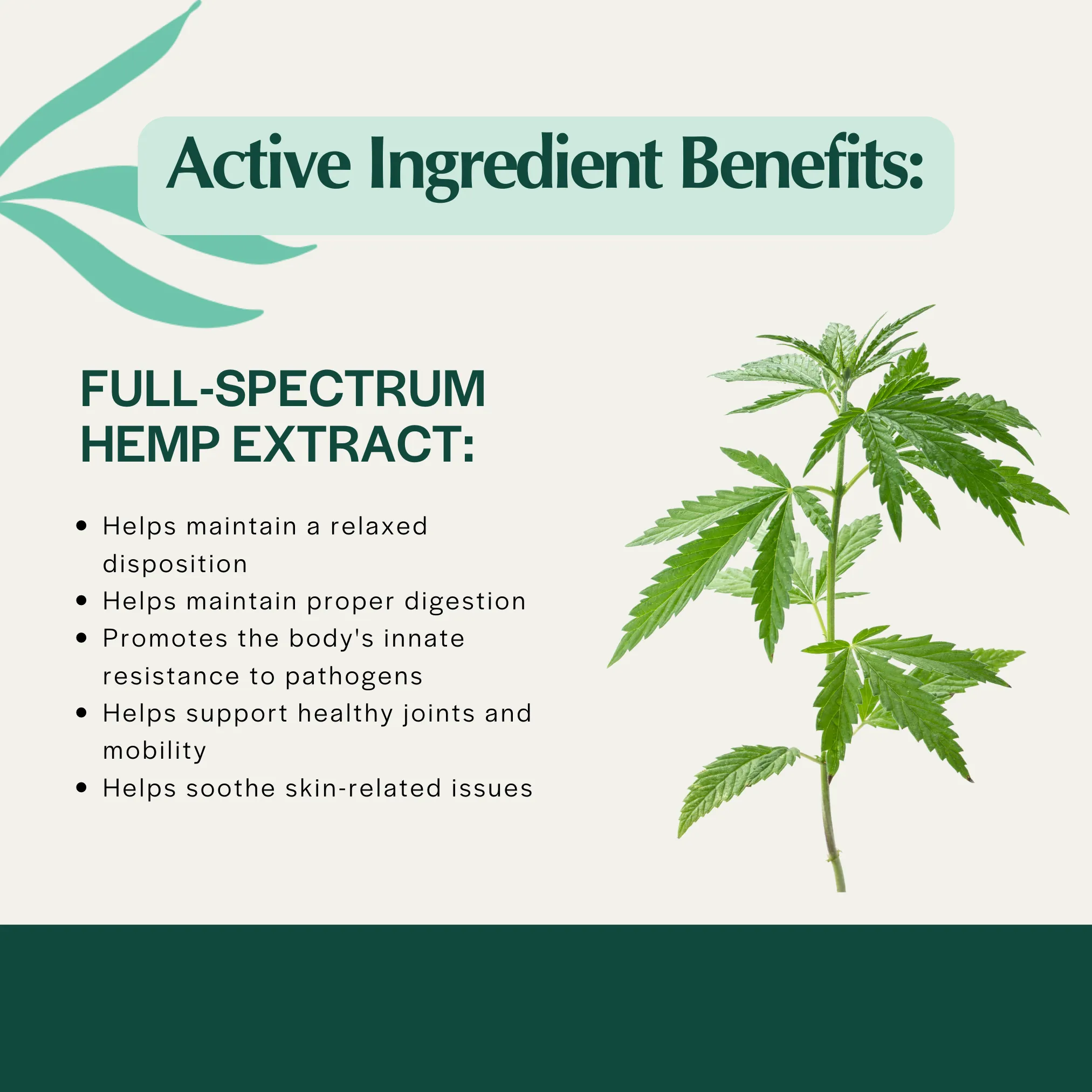 Pet Releaf Hip & Joint Releaf 600mg Hemp Oil for Dogs