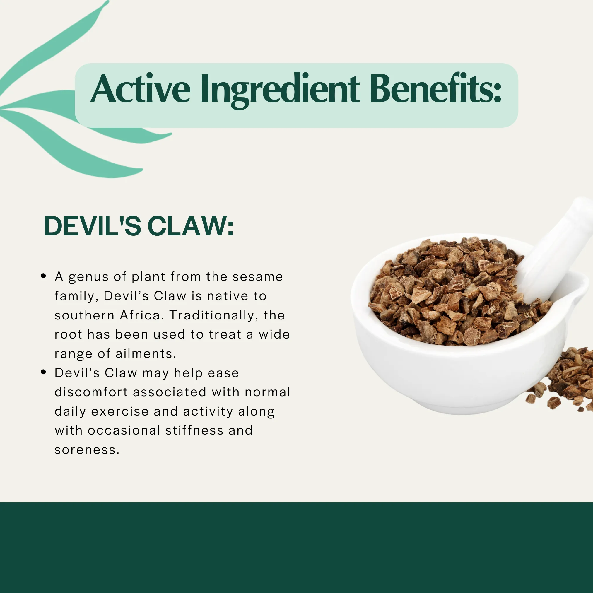 Pet Releaf Hip & Joint Releaf 600mg Hemp Oil for Dogs