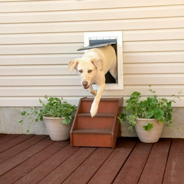 PetSafe Wall Entry Pet Door