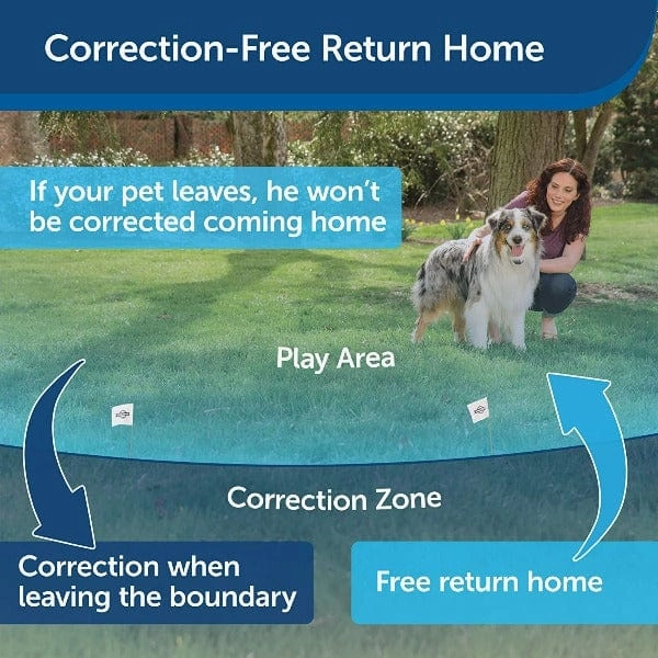 PetSafe Wireless Fence Extra Receiver Collar