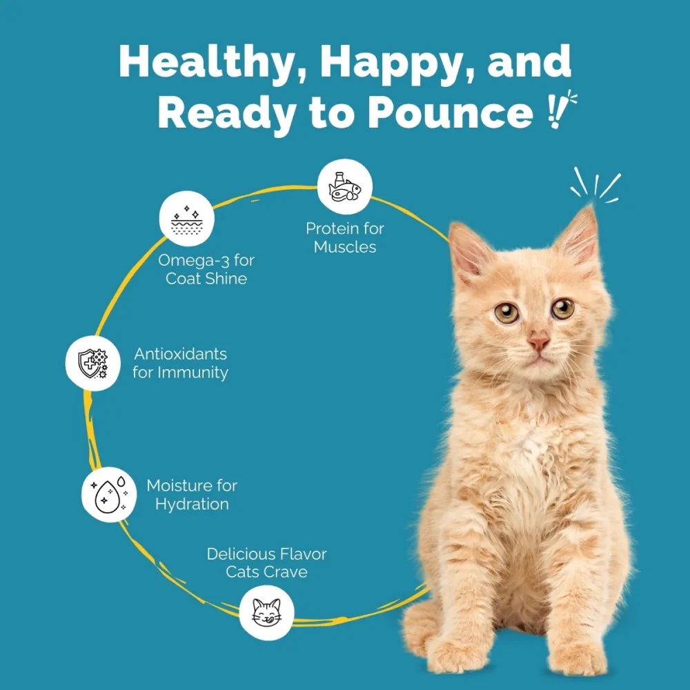 PetStrong Sardine & Tuna and White Fish in Gravy Cat Wet Food Combo