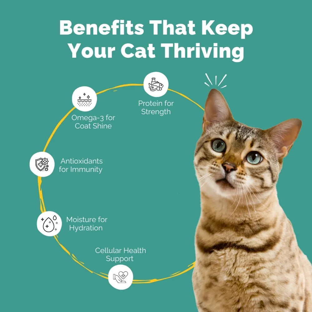 PetStrong Tuna and White Fish & Mackerel and Seaweed in Gravy Cat Wet Food Combo