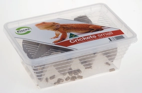 Pisces - Live Crickets Small Tub