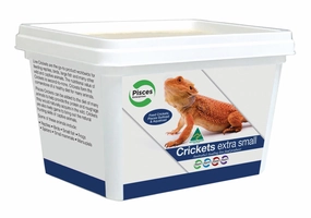 Pisces - Live Crickets X-Small Tub