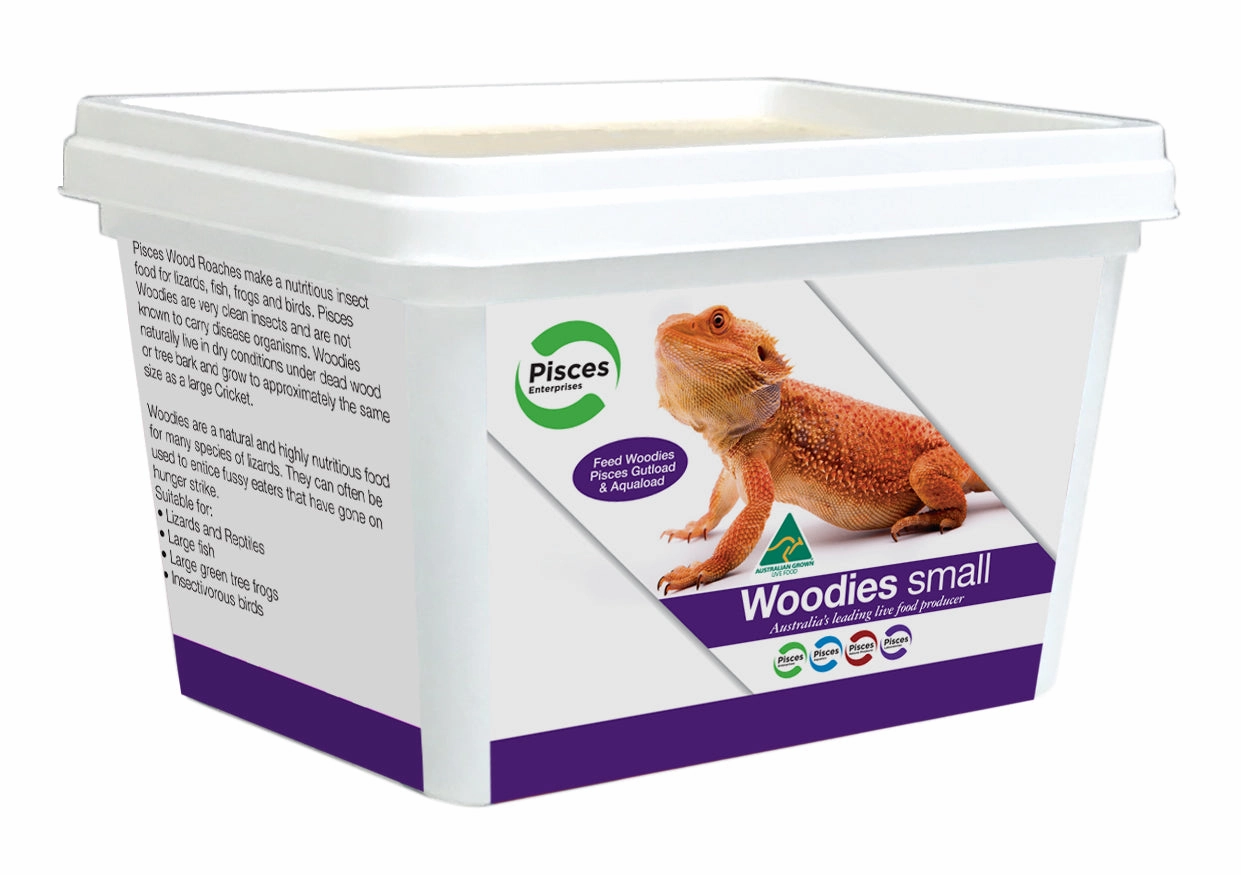 Pisces - Woodies Tub (Small)