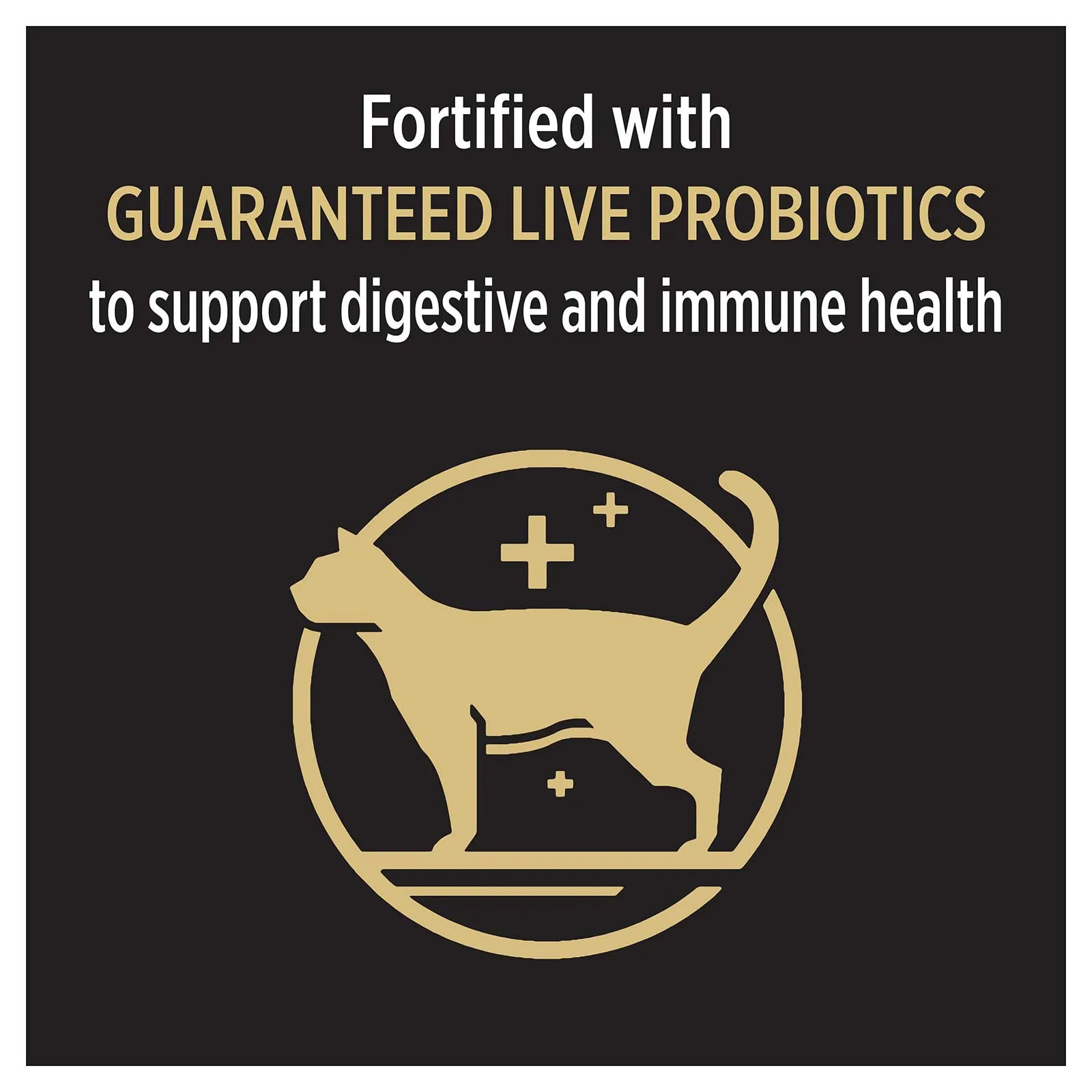 Pro Plan Cat Food Adult Sensitive Skin & Stomach