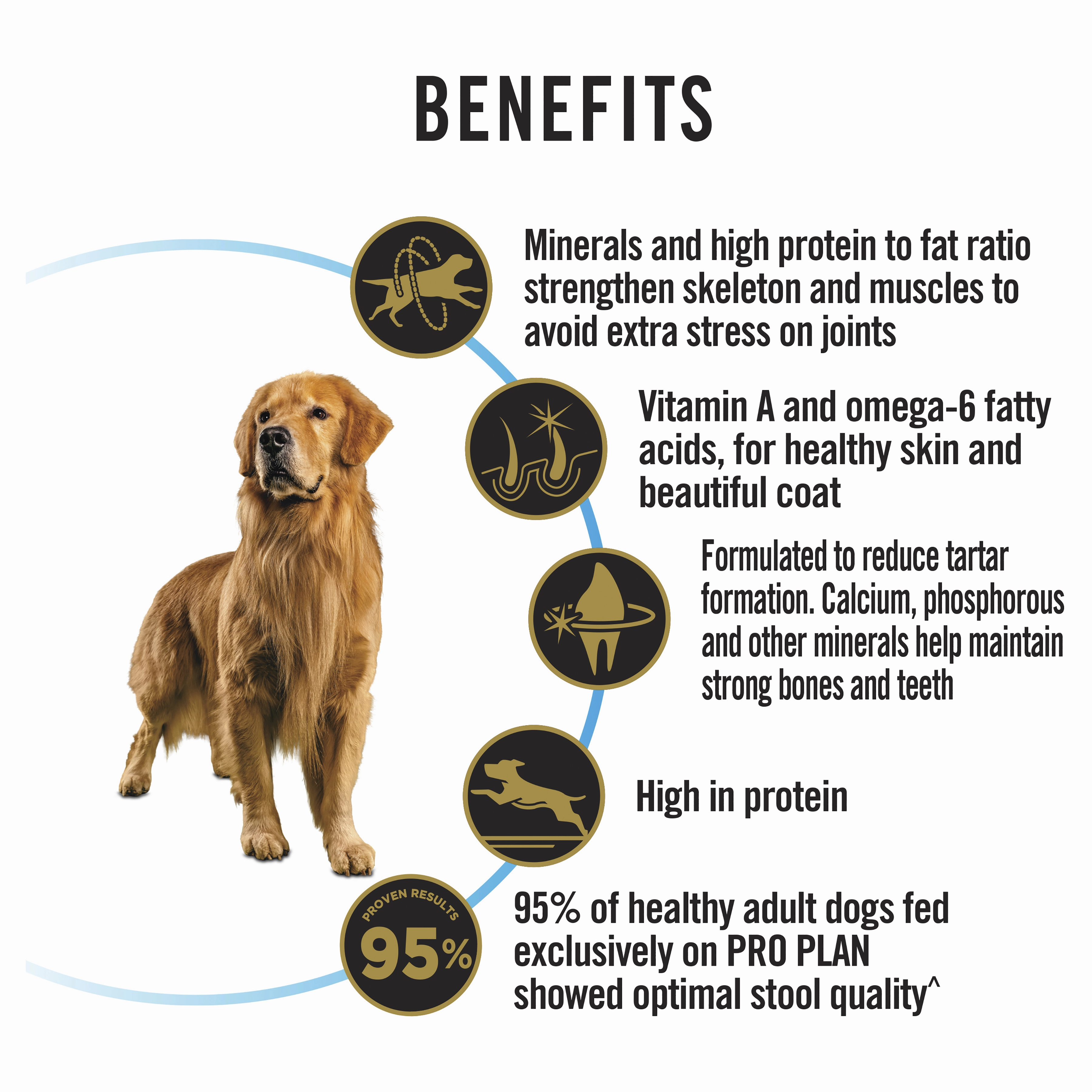 PRO PLAN Adult Large Breed Chicken Dry Dog Food (15kg)
