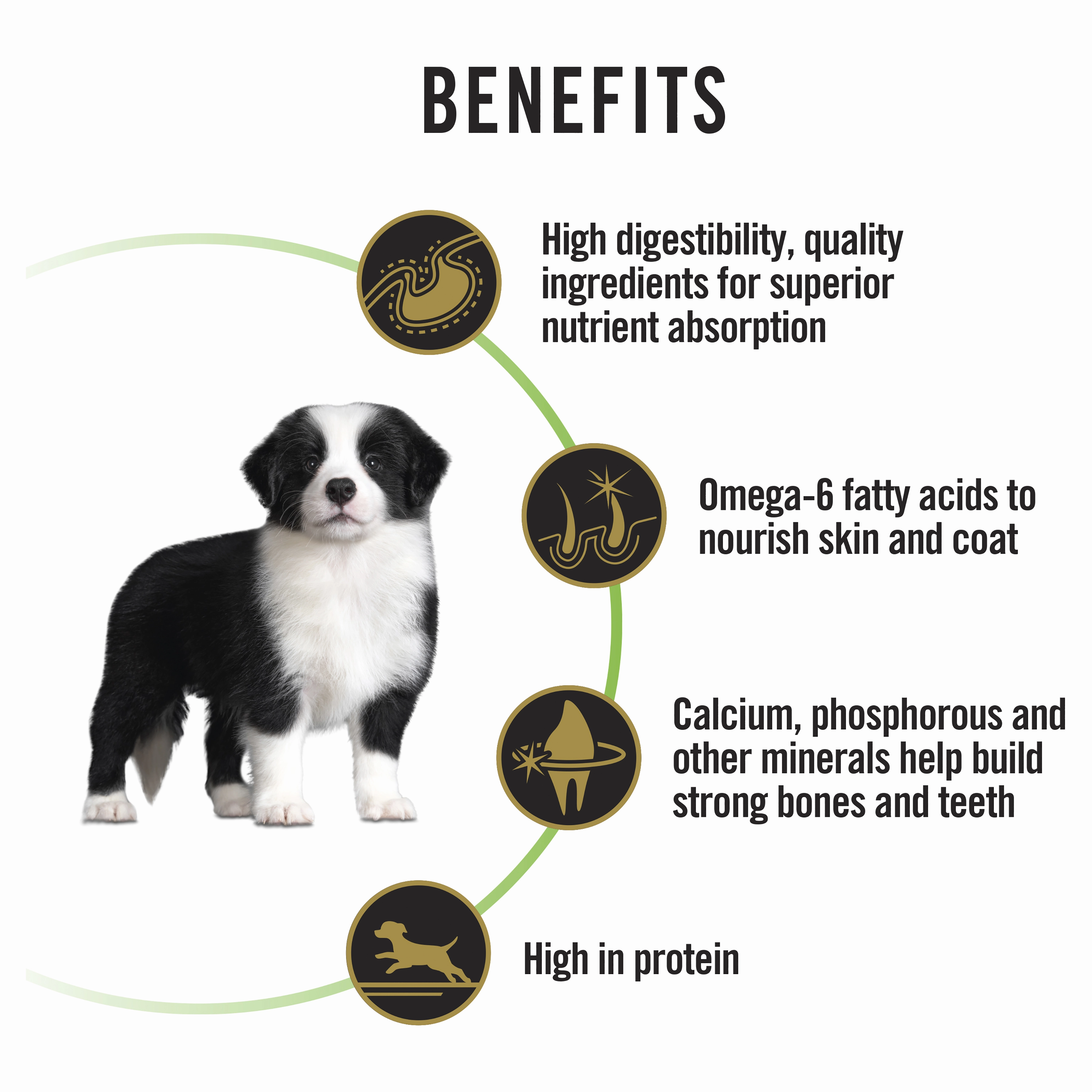 PRO PLAN Adult Medium Breed Chicken Dry Dog Food (15kg)