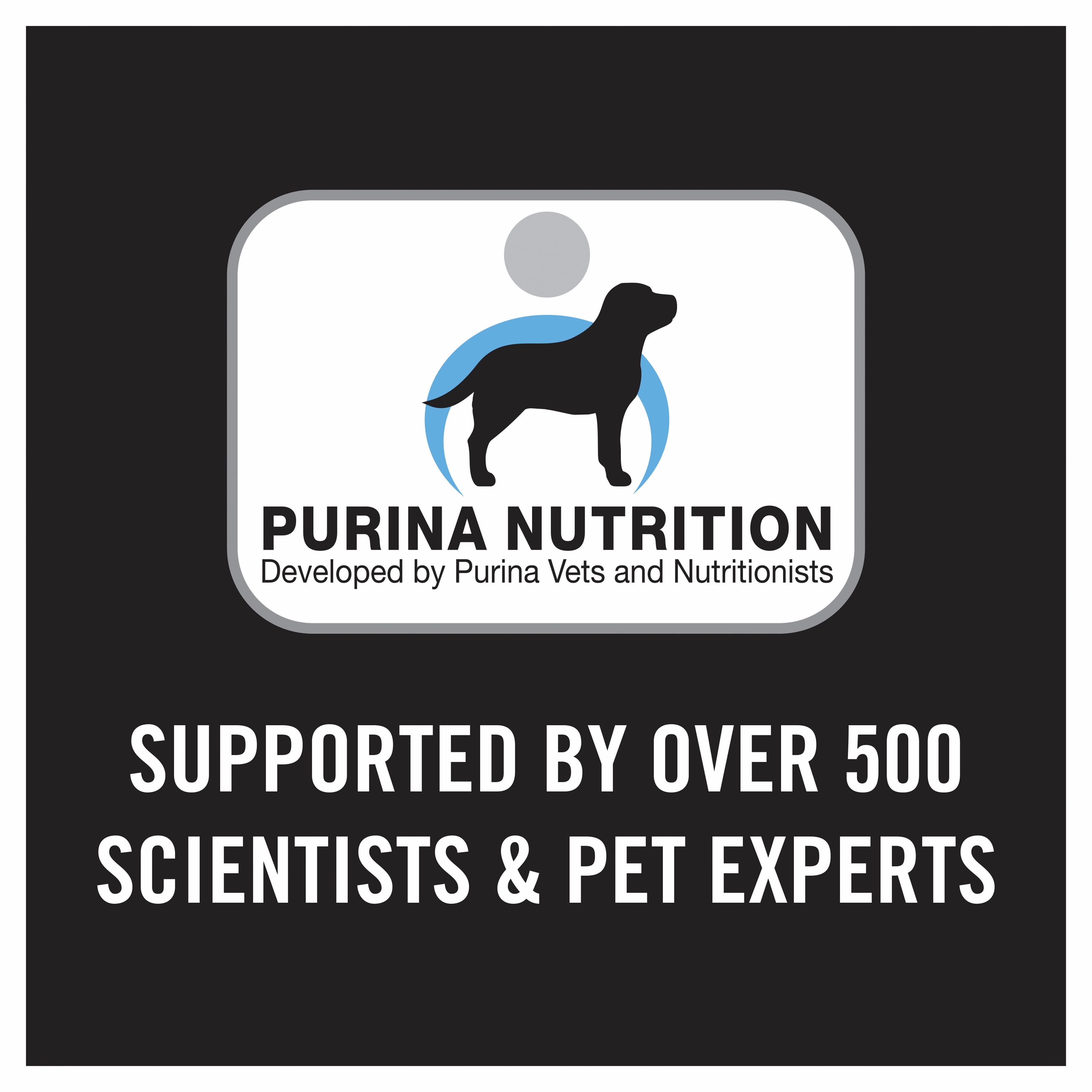 PRO PLAN Puppy Medium Breed Chicken Dry Dog Food (3kg)
