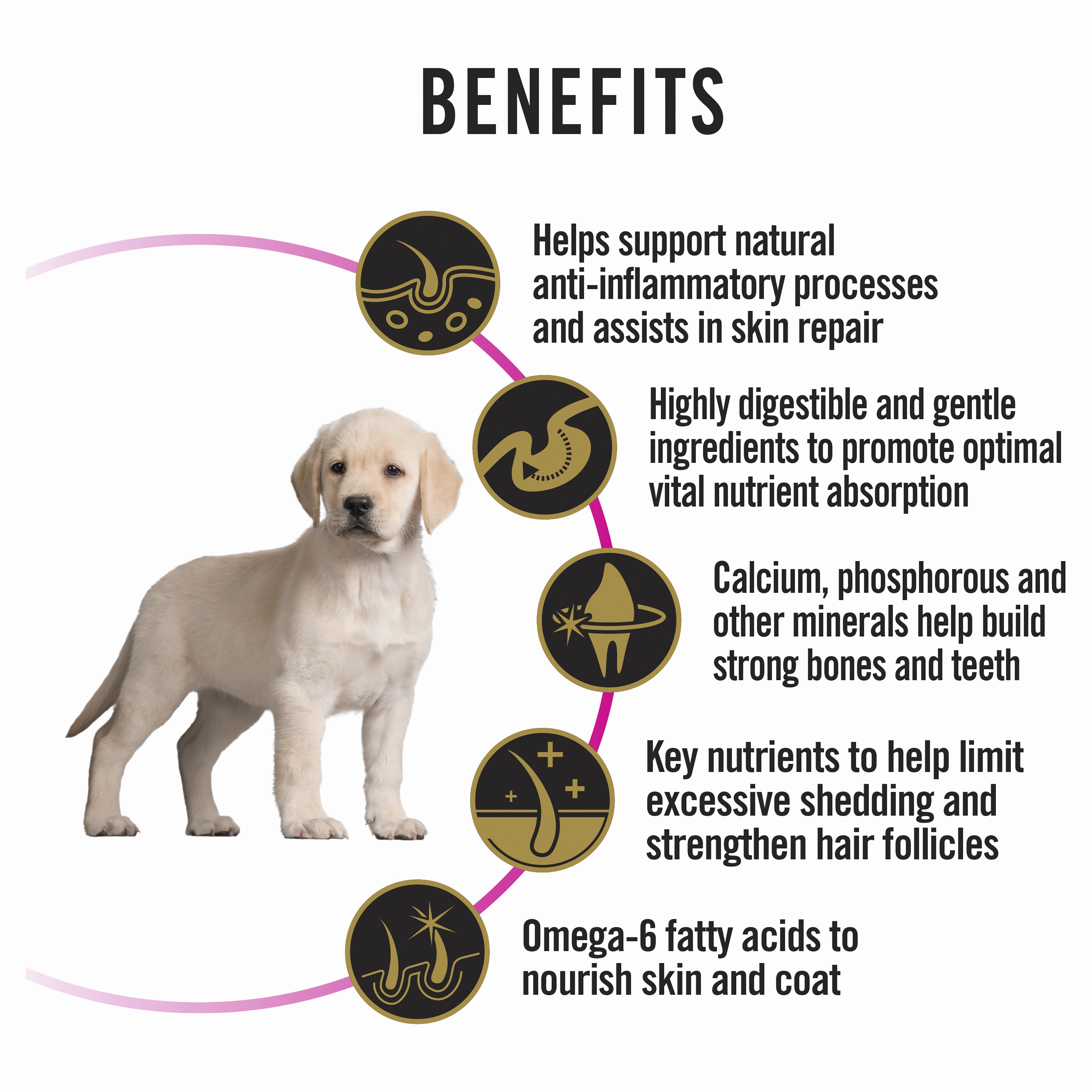 PRO PLAN Puppy Sensitive Skin & Stomach Dry Dog Food (12kg)