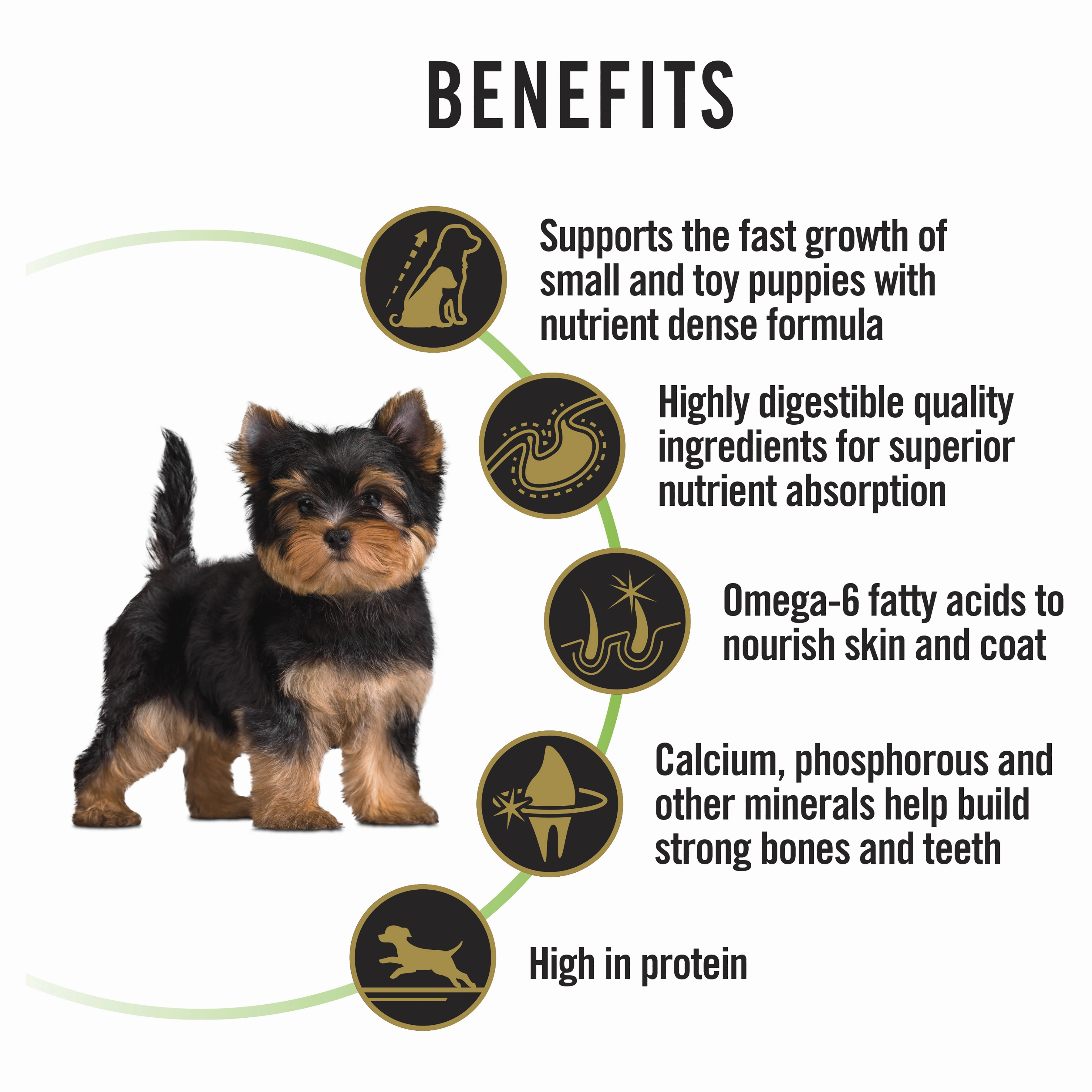 PRO PLAN Puppy Small & Toy Breed Chicken Dry Dog Food (2.5kg)