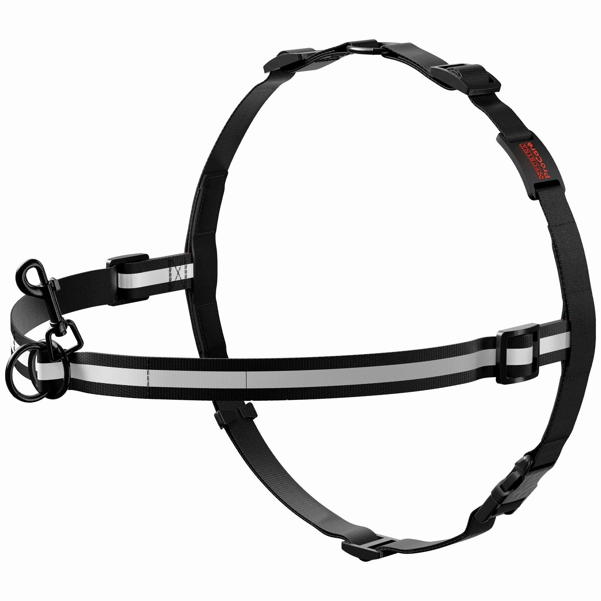 ProCare - Training Harness (Size L)