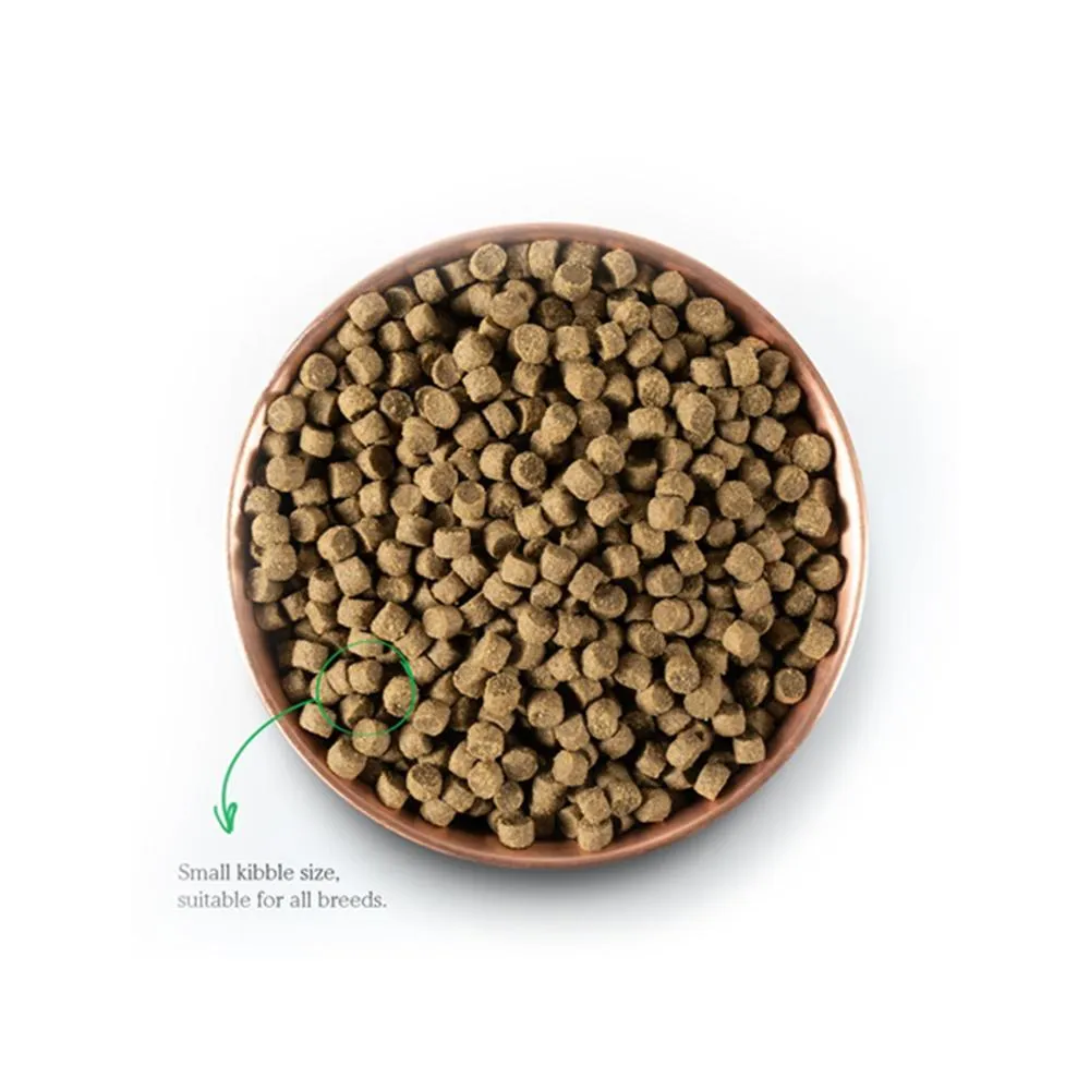Puppy Chicken & Wild Caught Salmon Dog Dry Food