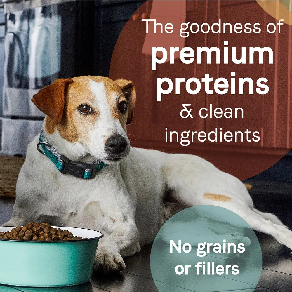PURE Grain Free Dog Dry Food - Salmon & Sweet Potato