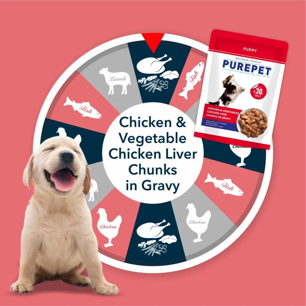 Purepet Chicken & Vegetable Chunks in Gravy Puppy Dog Wet Food