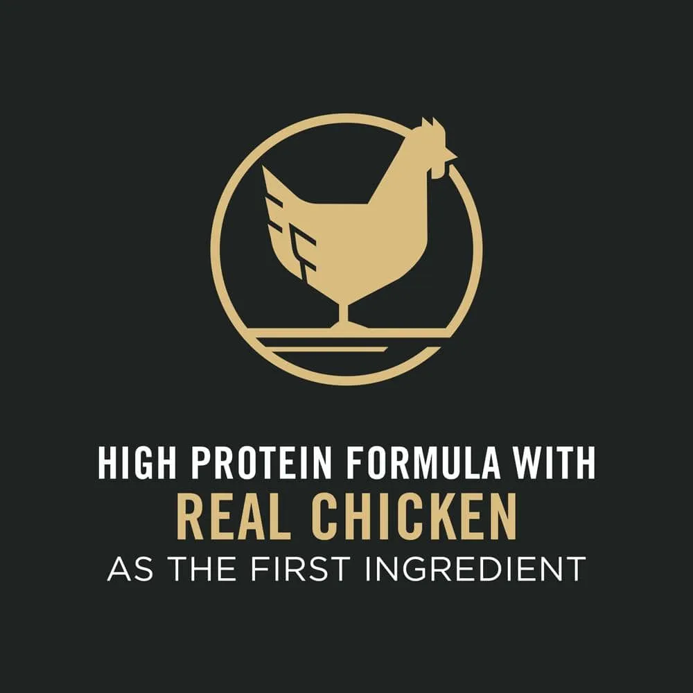 Purina Pro Plan Bright Mind Adult 7  Chicken & Rice Formula Dry Dog Food
