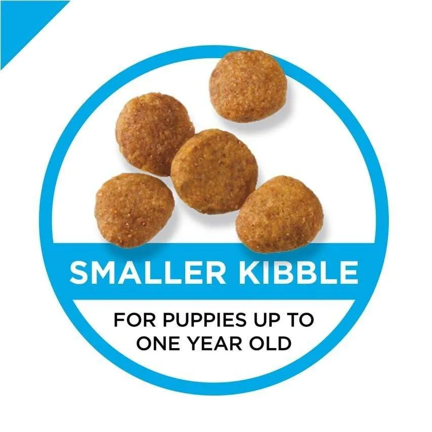 Purina Pro Plan Puppy Chicken & Rice Formula Dry Dog Food