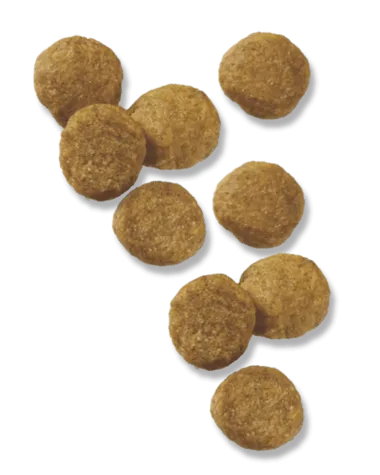 Purina Pro Plan Puppy Lamb & Rice Formula Dry Dog Food