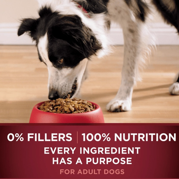 Purina ONE True Instinct Blend of Real Turkey & Venison Dry Dog Food