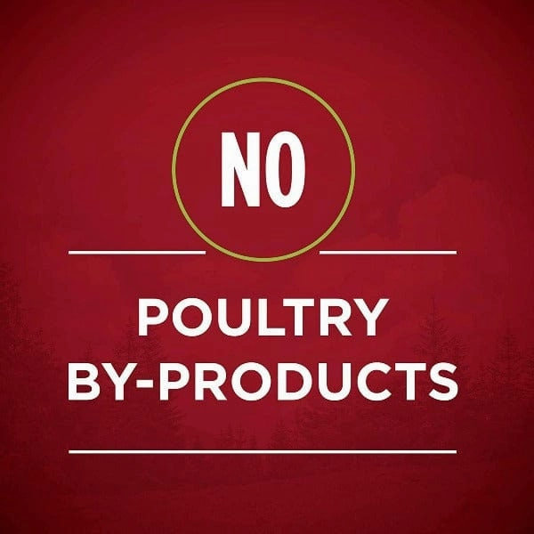 Purina ONE True Instinct with Chicken & Duck Canned Dog Food