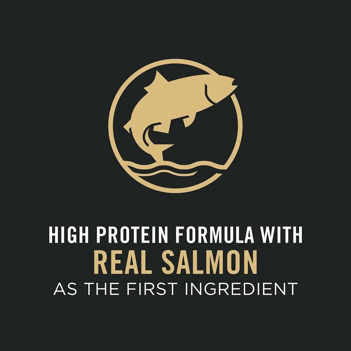 Purina Pro Plan Adult Small Breed Sensitive Skin & Stomach Salmon & Rice Dry Dog Food