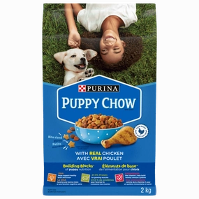 Purina Puppy Chow Dry Dog Food, 2kg