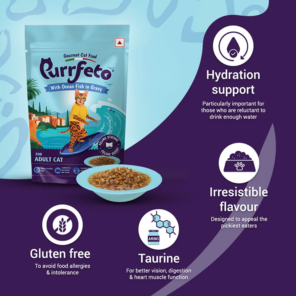 Purrfeto Ocean Fish in Gravy Adult Cat Wet Food