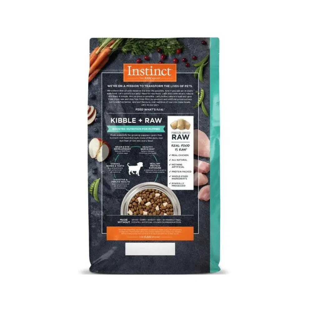 Raw Boost Large Breed Puppy Grain Free Kibble   Raw Dog Dry Food - Chicken