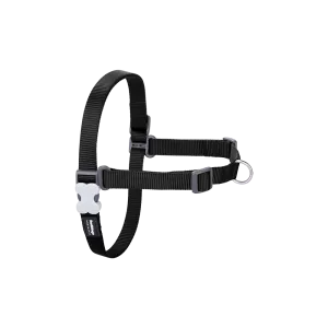 Red Dingo Dog No-Pull Harness - Black S/M