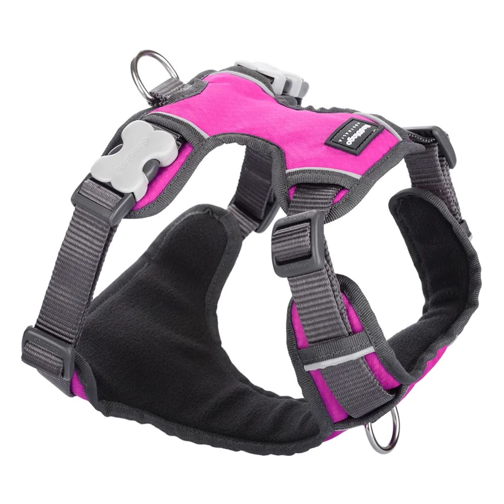 Red Dingo Padded Harness Hot Pink M
