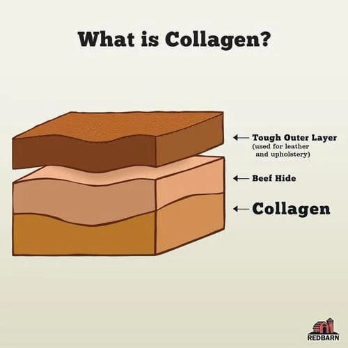 RedBarn Puffed Collagen Braid