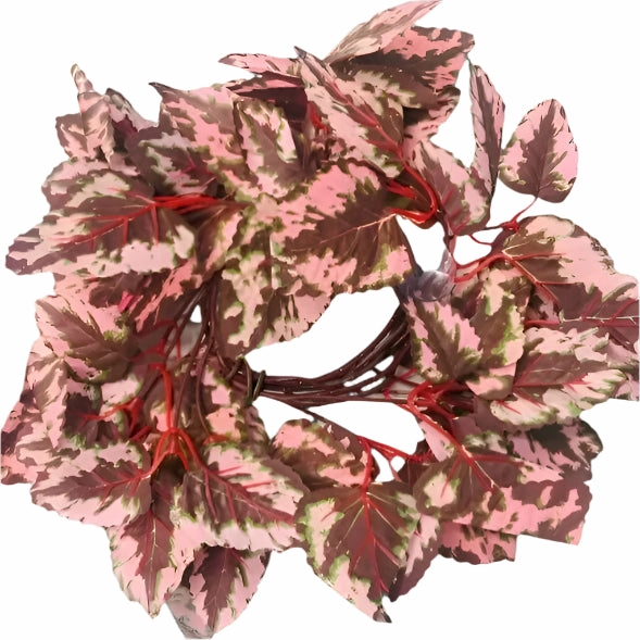 Repti Gear Coil Vines Decoration; Different Styles Available