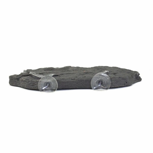 Repti Gear Floating Turtle Island Reptiles