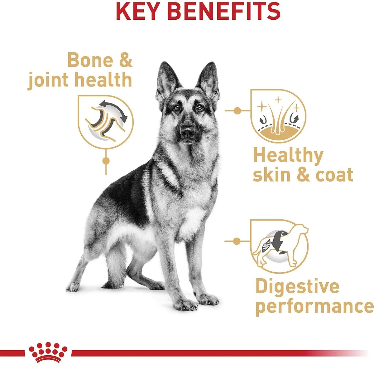 Royal Canin Adult German Shepherd Dry Dog Food