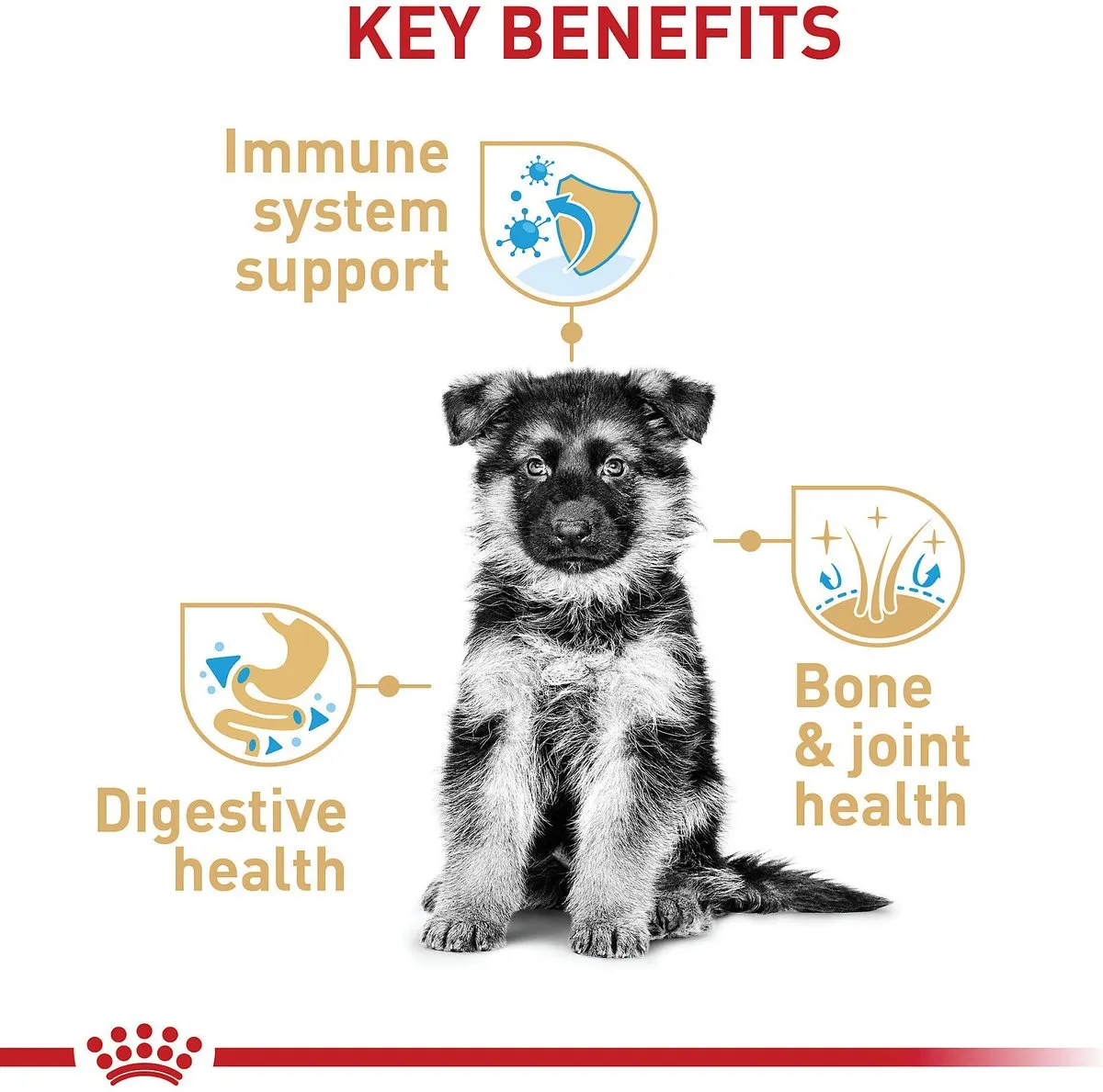 Royal Canin German Shepherd Puppy Dry Dog Food
