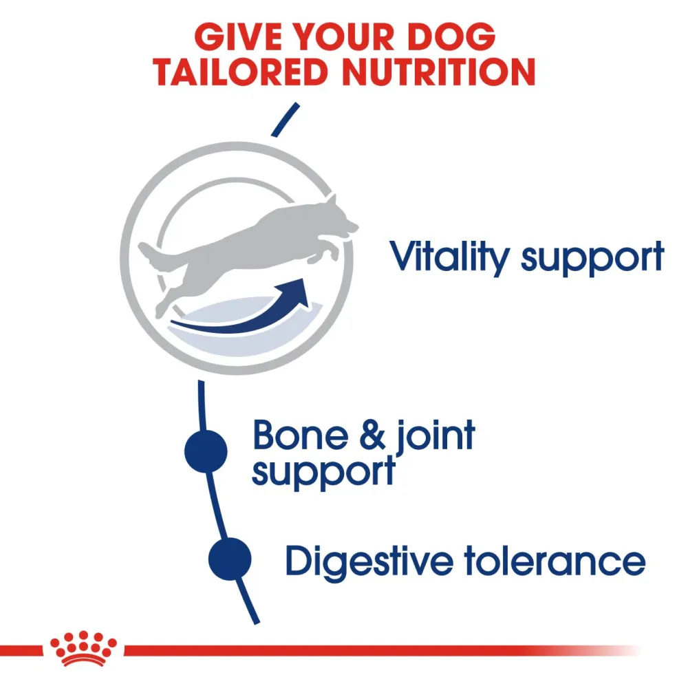 Royal Canin Maxi 5  Adult Dog Dry Food